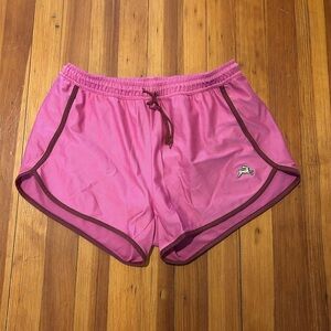 Tracksmith X J Crew Van Cortlandt medium shorts.
